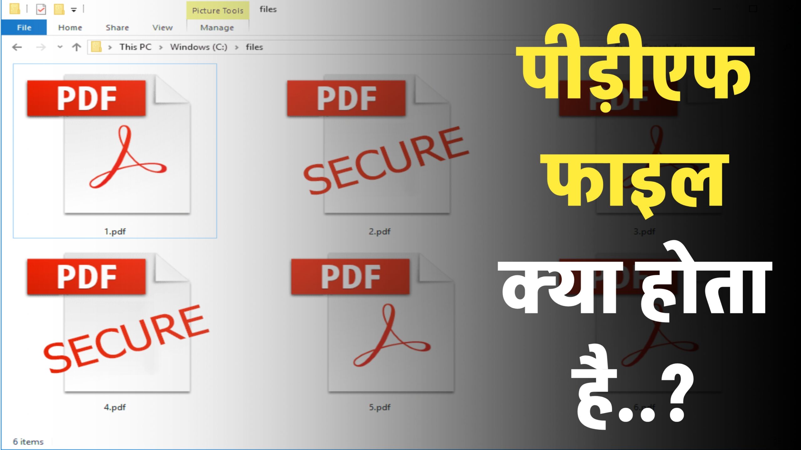 PDF Meaning in Hindi